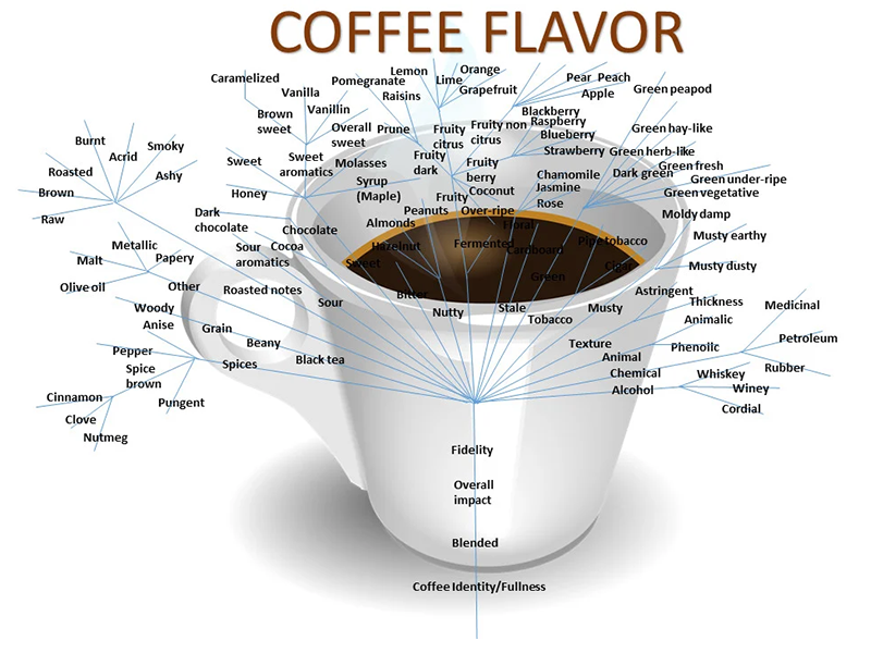 Key Factors in the Volatilization and Release of Coffee Aroma and Techniques for Adjusting the Balance Between Acidity and Bitterness