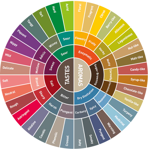 How to Describe Flavor Notes in Coffee