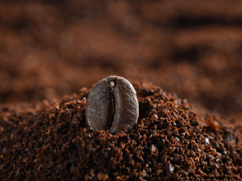 The Science and Artistry of Espresso: SOE, Blends, and the Alchemy of Flavour